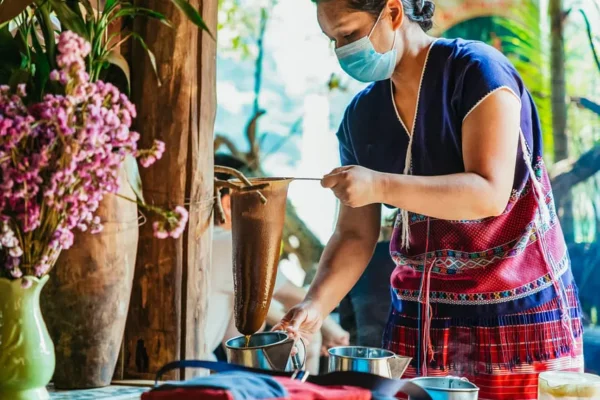 Doi Inthanon National Park Eco-Friendly Tour Copy