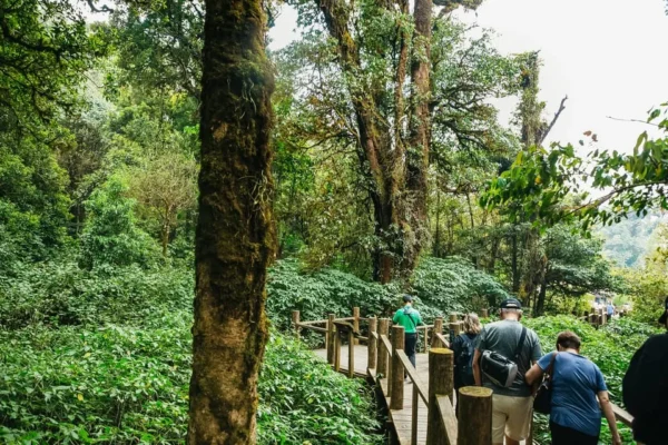 Doi Inthanon National Park Eco-Friendly Tour Copy