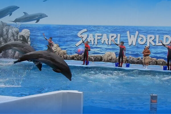 Safari World + Marine Park + Buffet Lunch Tickets