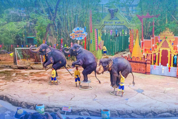 Safari World + Marine Park + Buffet Lunch Tickets