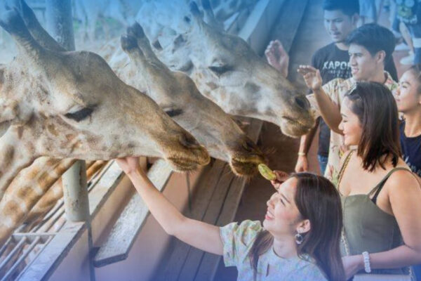 Safari World + Marine Park + Buffet Lunch Tickets