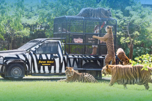 Safari World + Marine Park + Buffet Lunch Tickets